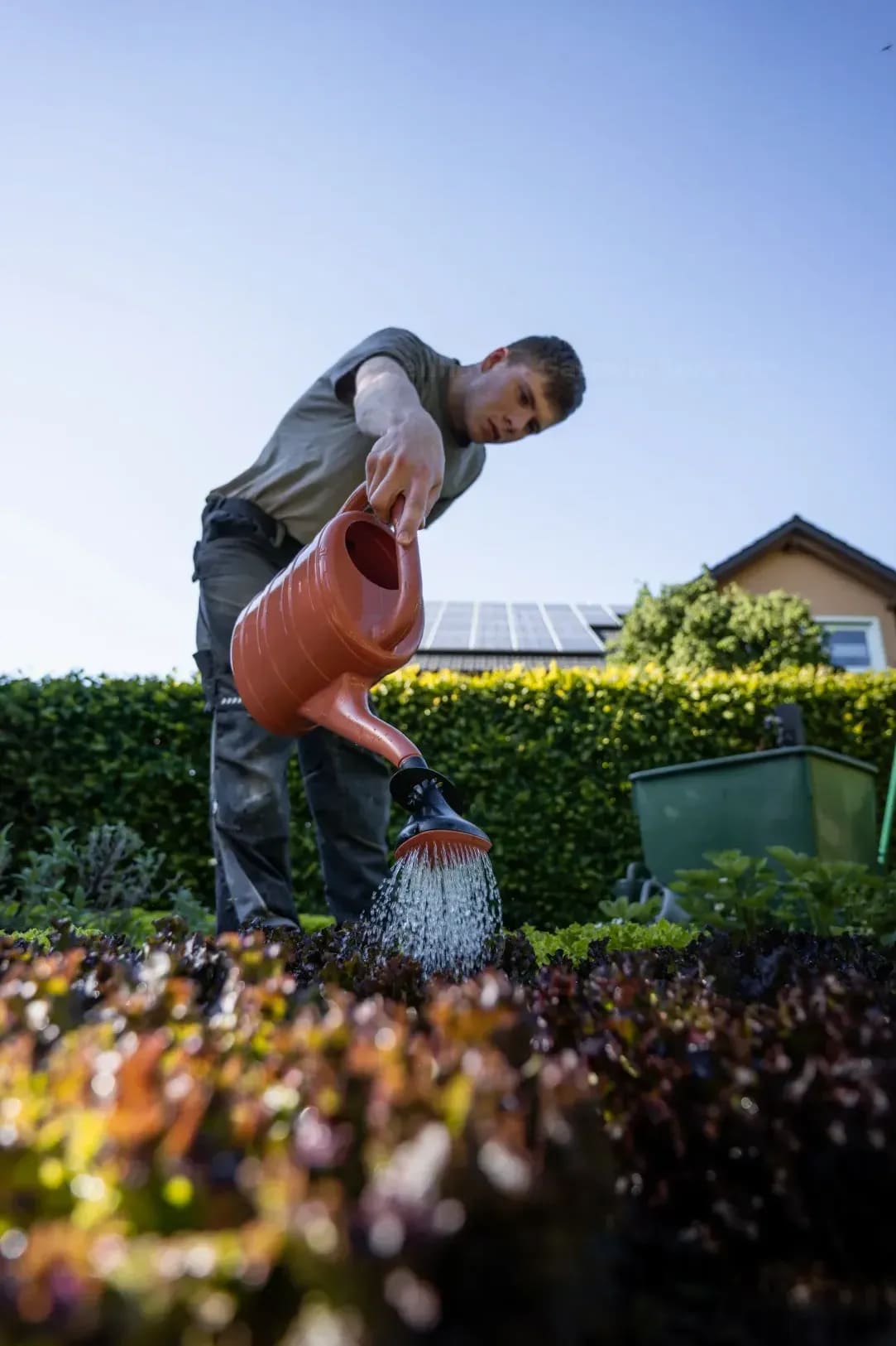 Greenhaven Garden Services 10