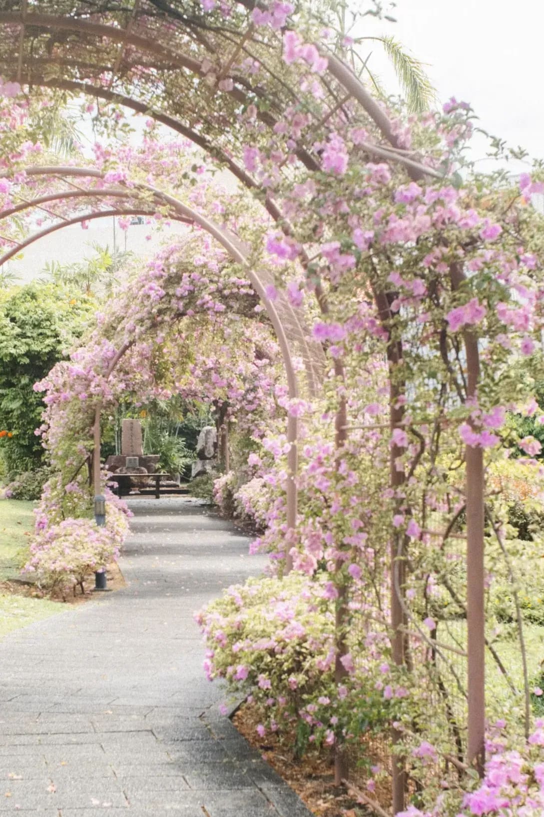Greenhaven Garden Services 12