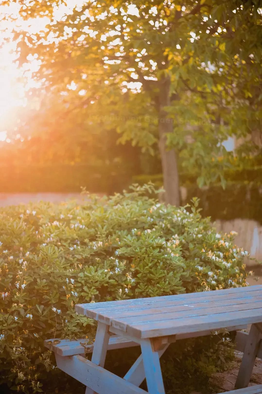 Greenhaven Garden Services 13